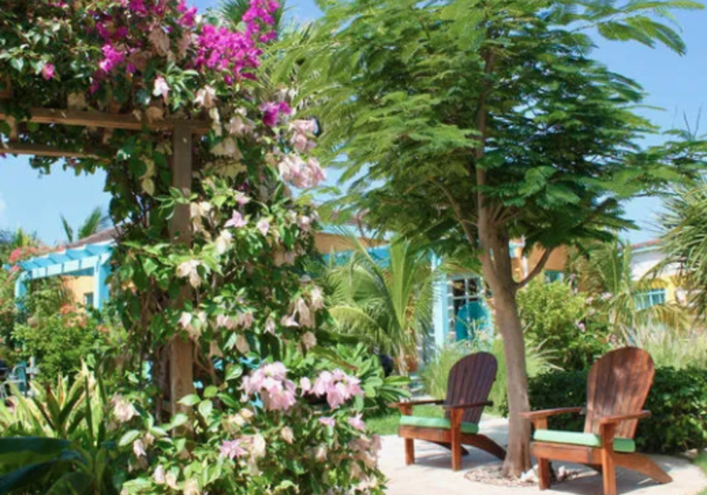 Boardwalk Boutique Hotel Aruba gardens 
