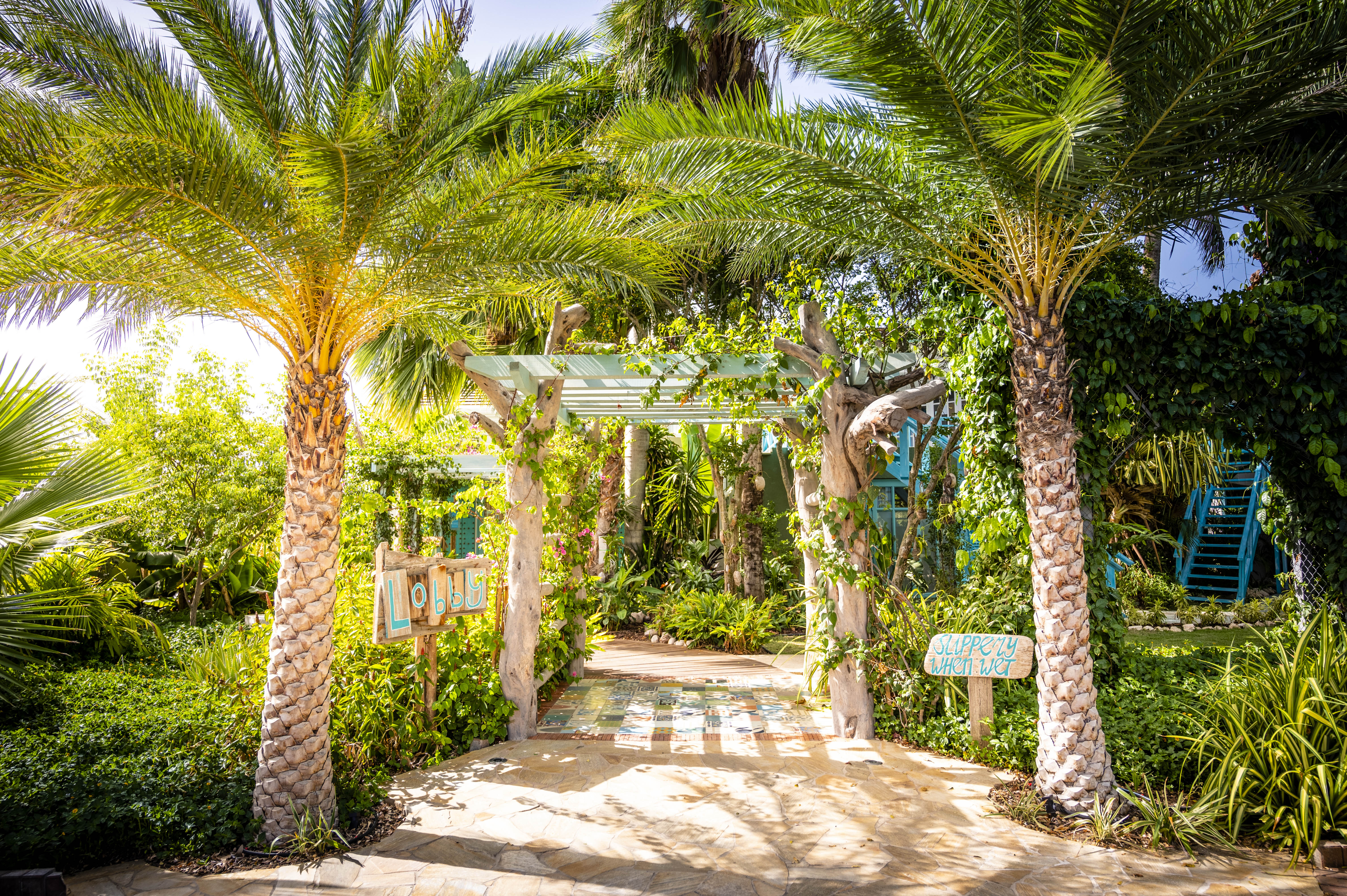 Boardwalk Boutique Hotel Aruba - Coconut Plantation 