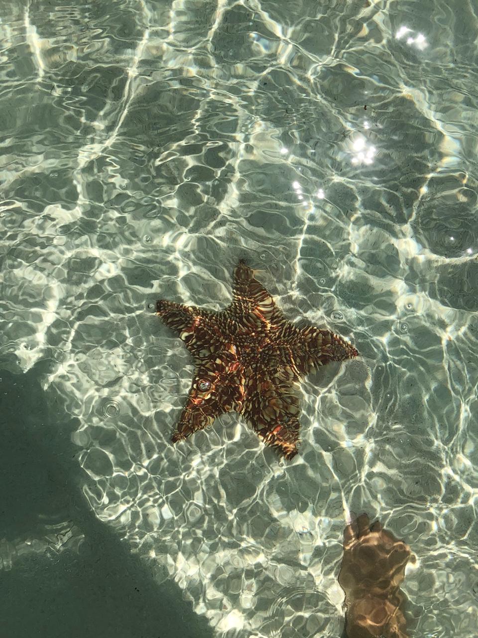 Crystal clear water