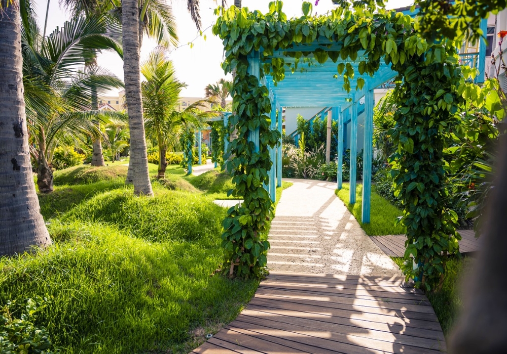 Lush Gardens at Boardwalk Boutique Hotel Aruba