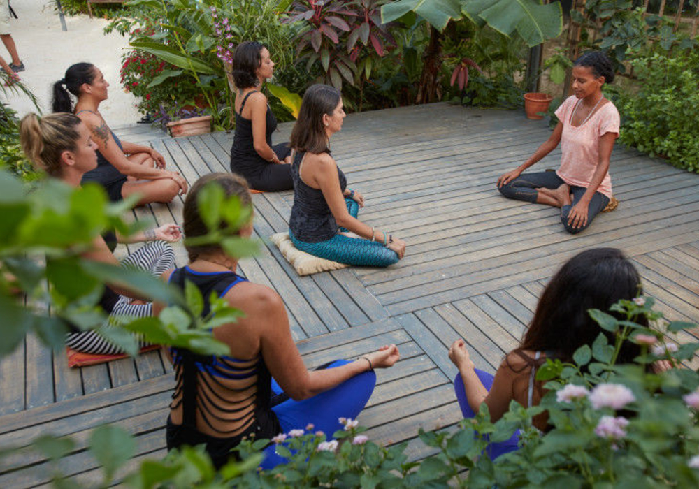 Mediation at the Butterfly Farm Aruba