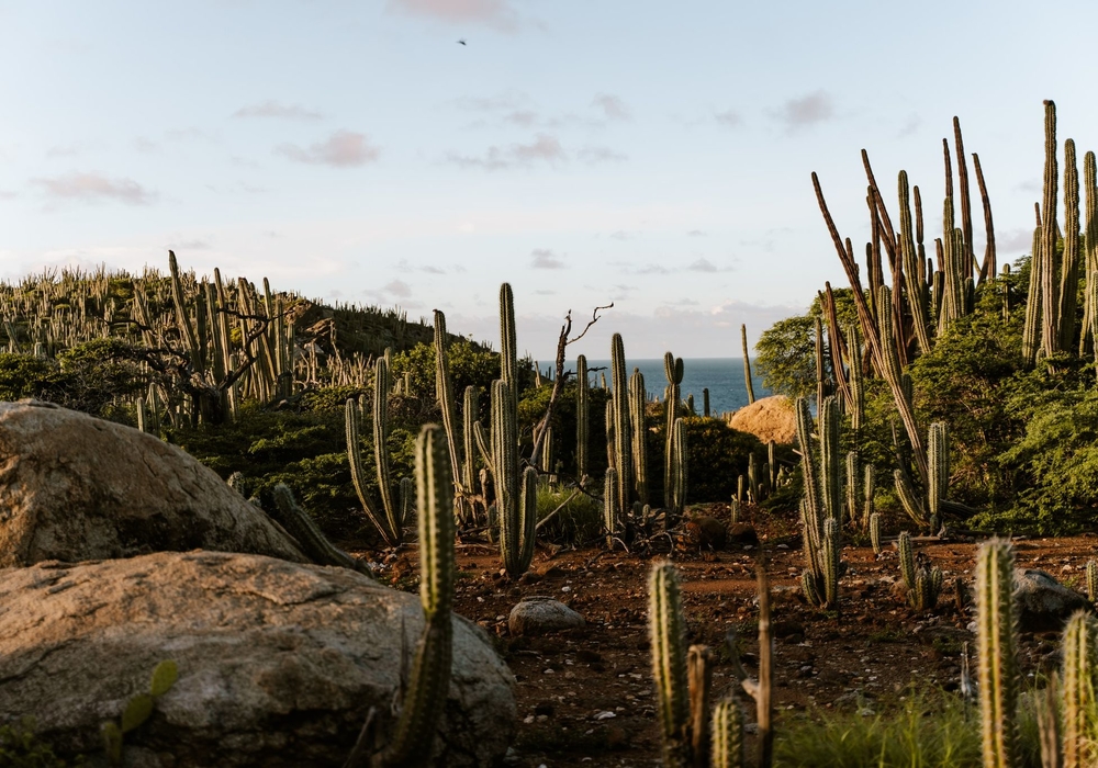 Arikok National Park Aruba