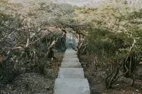 Steps up the Hooiberg
