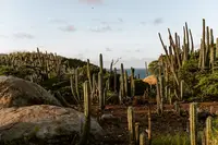Arikok National Park Aruba