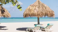 Boardwalk Beach Area