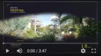 Boardwalk Trupial bird video