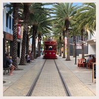 Hop on and off the downtown tram through the Main Street of Oranjestad! While connecting the cruise terminal and the shopping center, the trolley makes six stops at various monuments and museums along the way. 🚋🌴 

#boardwalkhotelaruba #boardwalk #hotel #aruba #onehappyisland #tram #downtown #mainstreet #shopping #museum