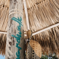 Last Monday of this month! Tell us about your weekend, but only use emojis👇

#boardwalhotelkaruba #boardwalk #aruba #onehappyisland #hotel #mondays #beach #oasis #emojis #beachtime #beachvibes #beachday #beachbum #beeronthebeach #palapa #beachhut #whitesand #whitesandbeach #caribbean #caribbeanbeach #friendsgetaway #romanticgetaway #happymonday #happyvibes #travel #travelawesome #travelgram #travellife #travellocal #travelpic