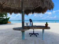 Workation at Boardwalk Aruba