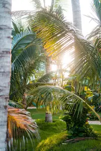 Lush Gardens at Boardwalk Boutique Hotel Aruba