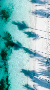 Boardwalk Beach area on Palm Beach