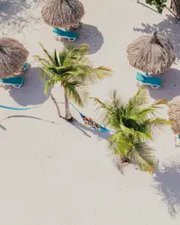 Hammock on Boardwalk Beach area on Palm Beach